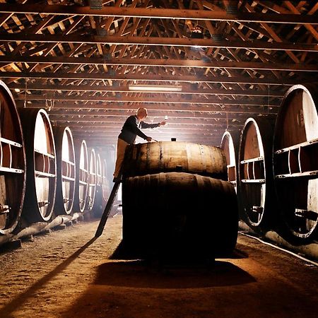 Pieter van Gent Winery&Vineyard Budgee Budgee Dış mekan fotoğraf