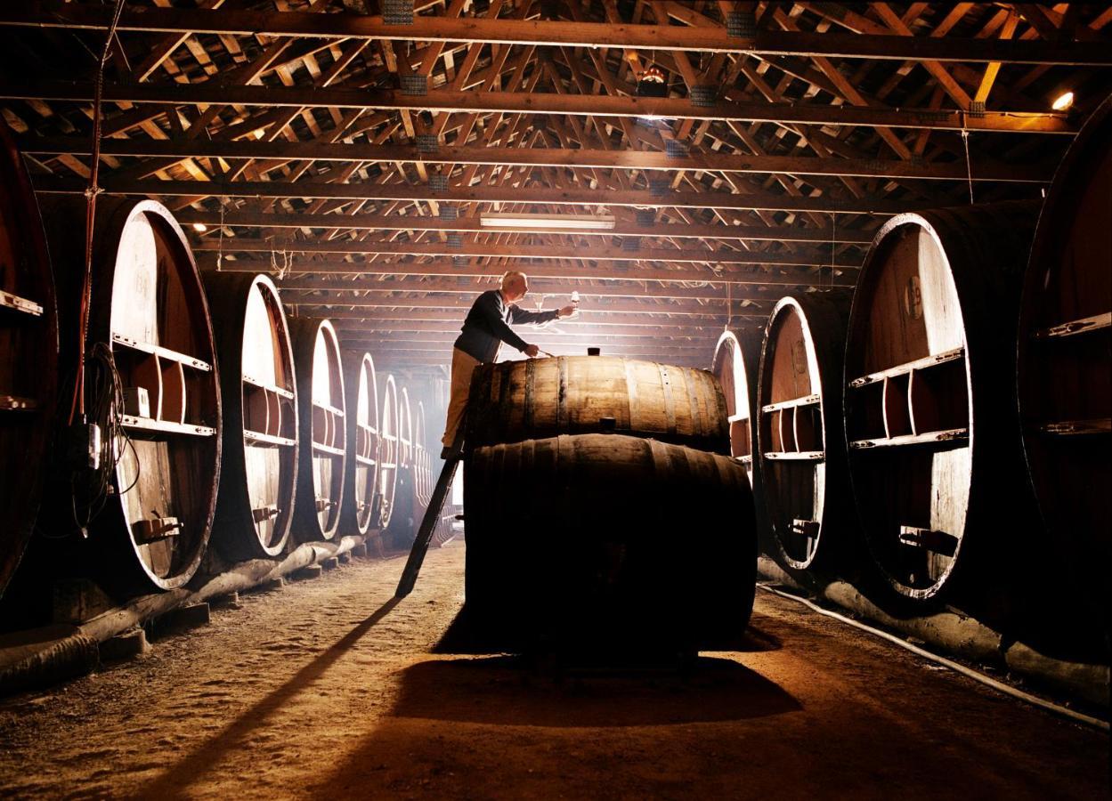 Pieter van Gent Winery&Vineyard Budgee Budgee Dış mekan fotoğraf