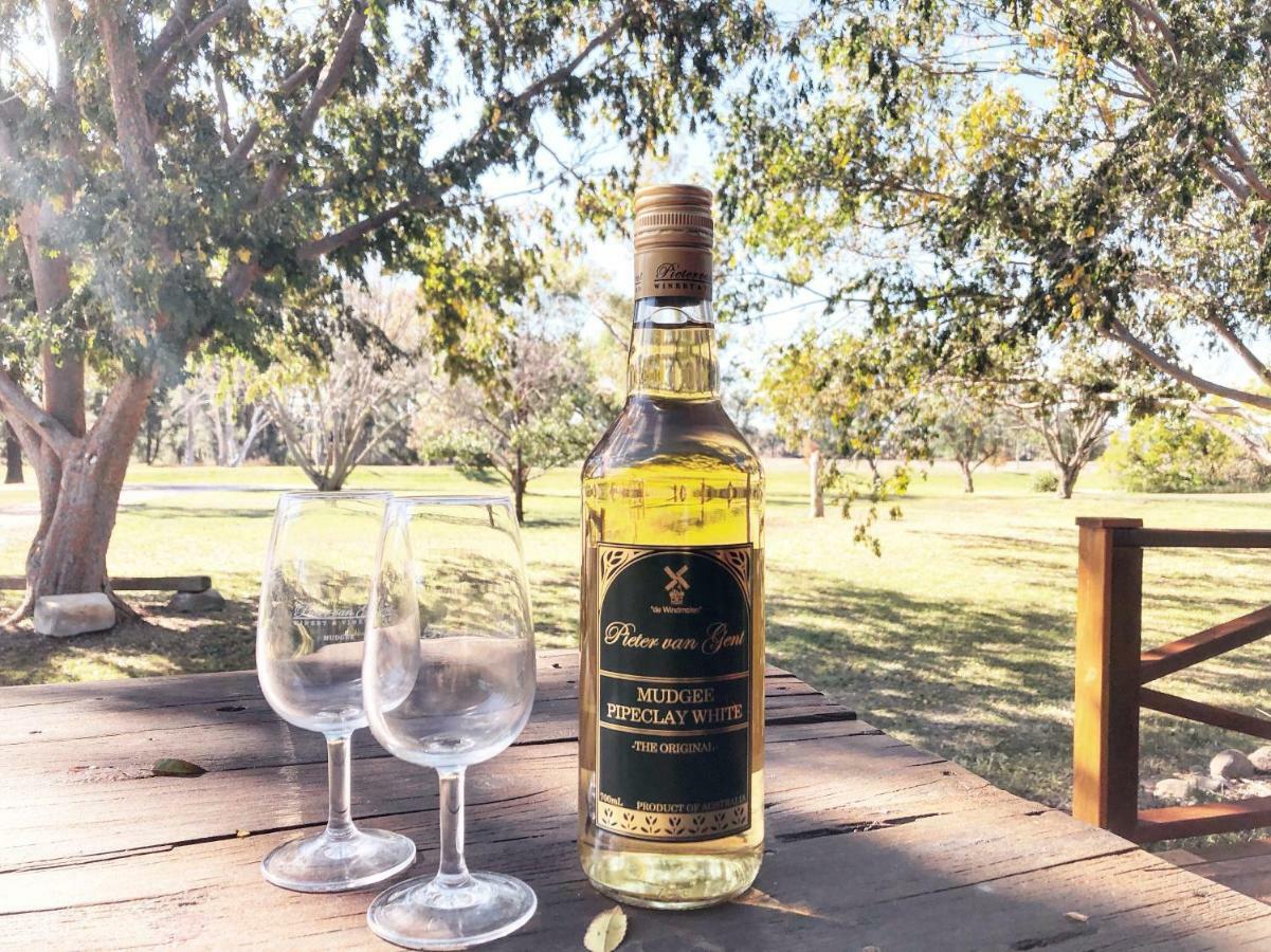Pieter van Gent Winery&Vineyard Budgee Budgee Dış mekan fotoğraf